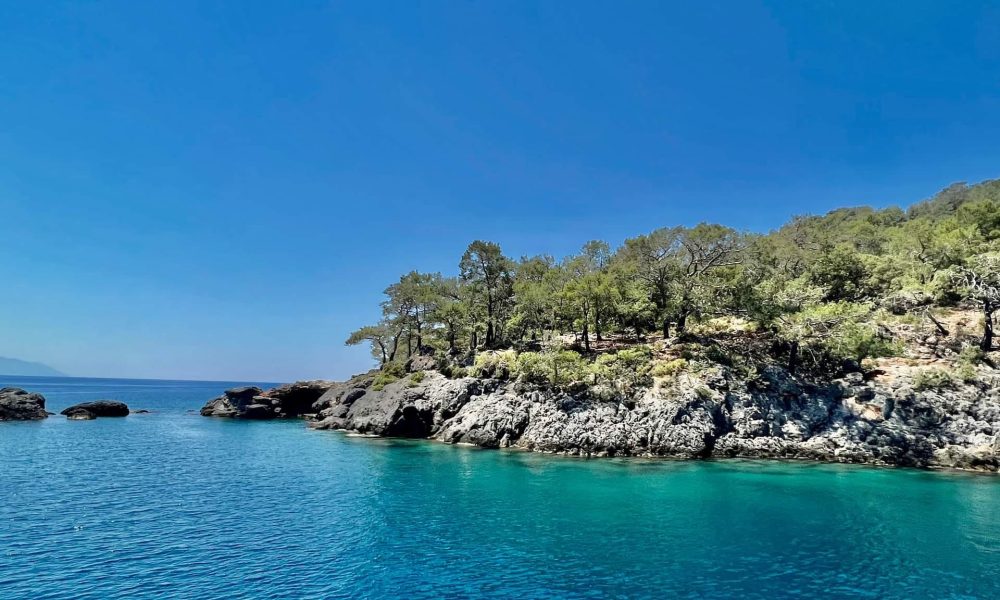 281888842_5262795630442088_703939583516615441_n