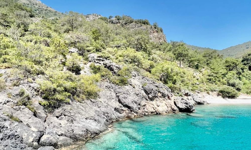 281962765_5262797217108596_4309740318721707460_n