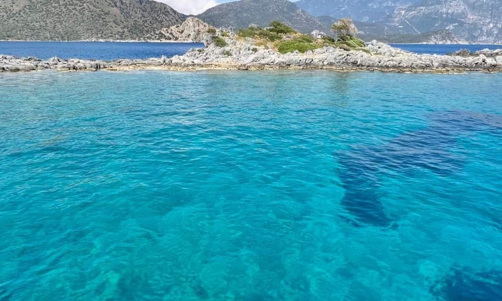 282048059_5262798647108453_7938736911698426564_n