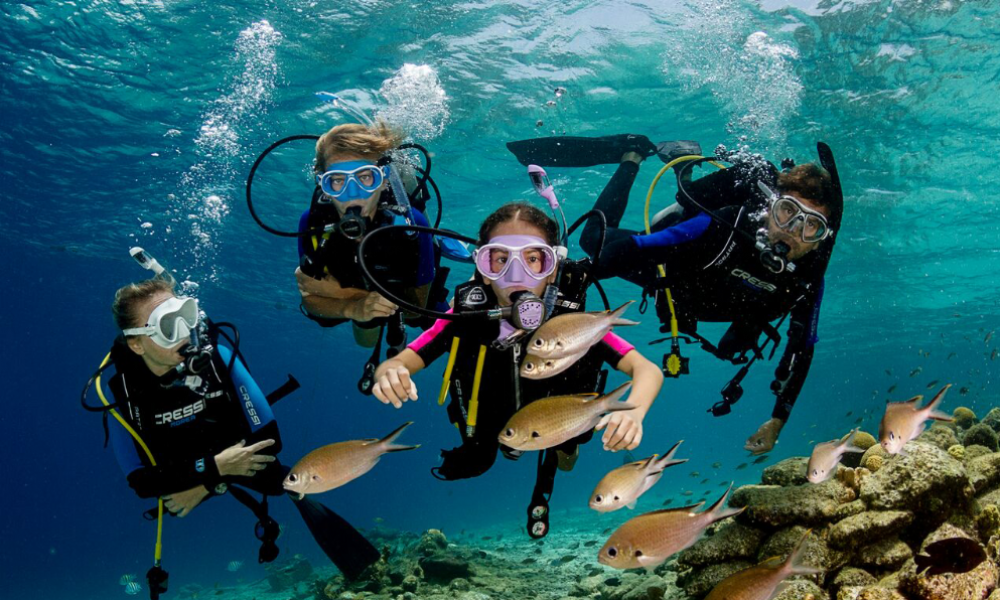 551_photo-5-MroaR1FbLy0sqgX