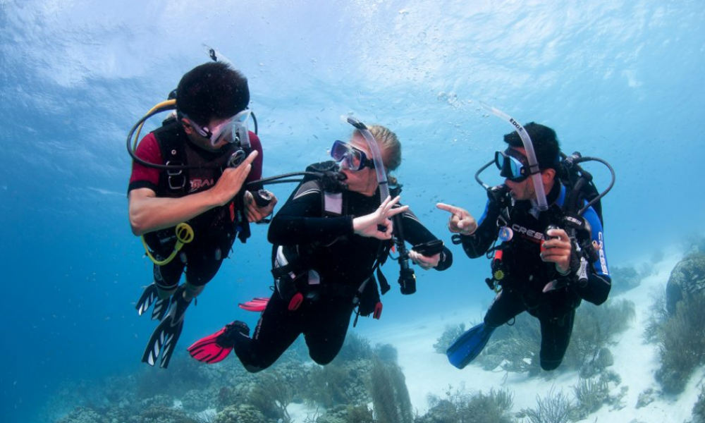 842_dalgiclik-nasil-bir-spordur-990x657