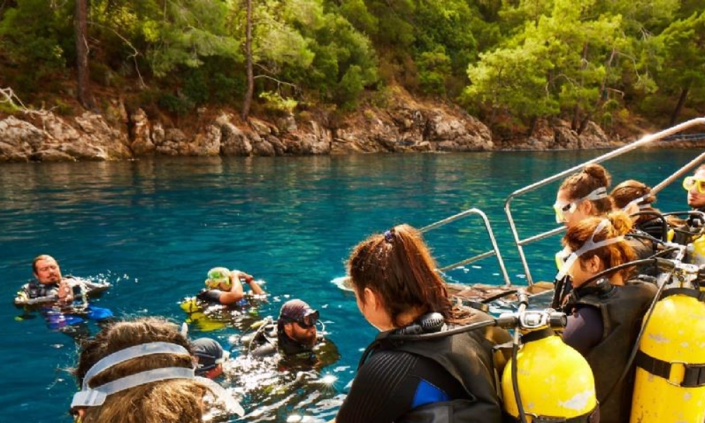 87_612_8A6EDCBD-FE34-422F-B3E7-93F5D2209B1B