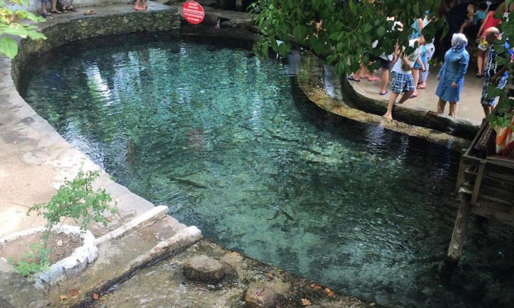 WhatsApp Image 2022-05-27 at 21.12.49