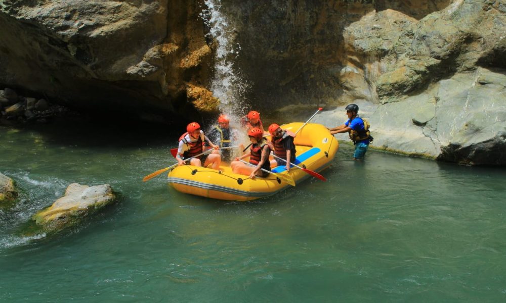 WhatsApp Image 2025-01-22 at 17.30.44