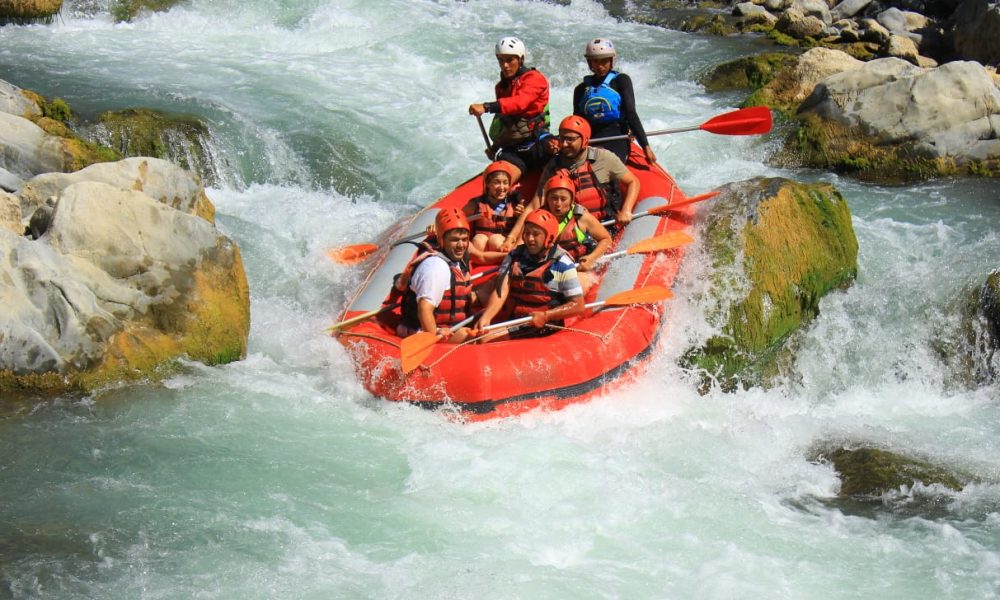 WhatsApp Image 2025-01-22 at 17.30.48 (1)