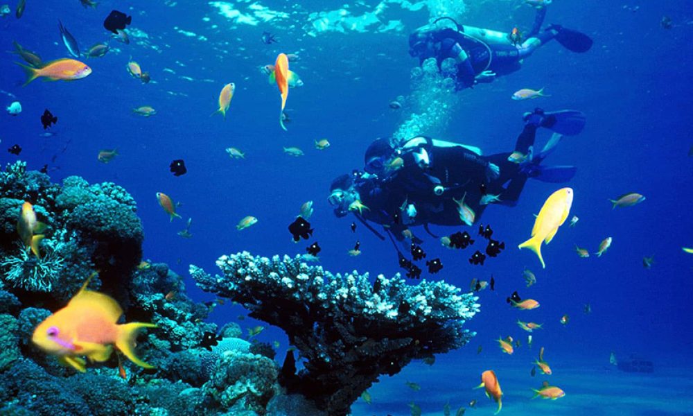 fethiye-tuplu-dalis-turu-fiyatlari