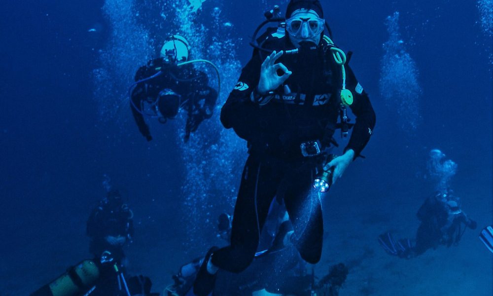 pexels-toulouse-3098971